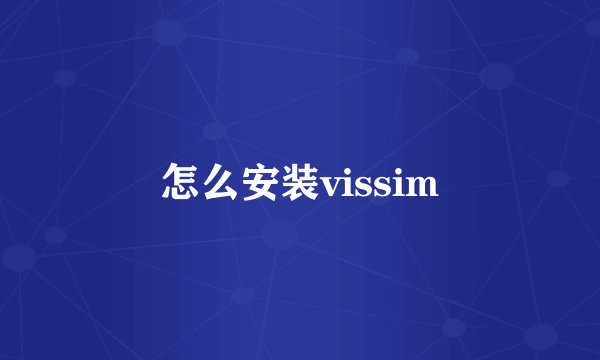 怎么安装vissim