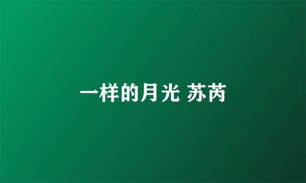 一样的月光 苏芮