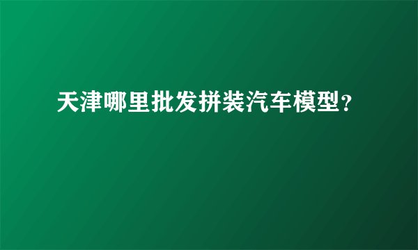 天津哪里批发拼装汽车模型？