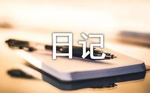 五一见闻日记