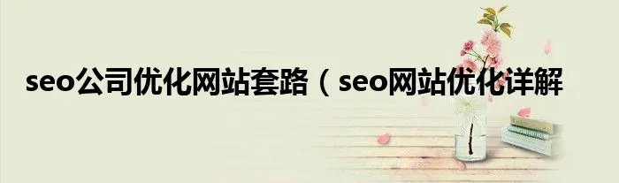 seo公司优化网站套路(seo网站优化详解