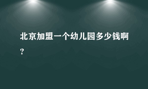 北京加盟一个幼儿园多少钱啊？