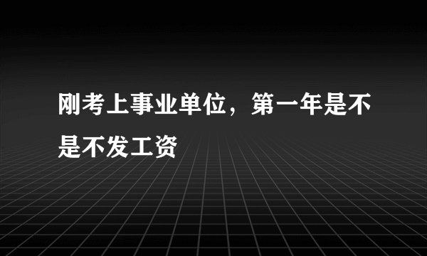 刚考上事业单位，第一年是不是不发工资
