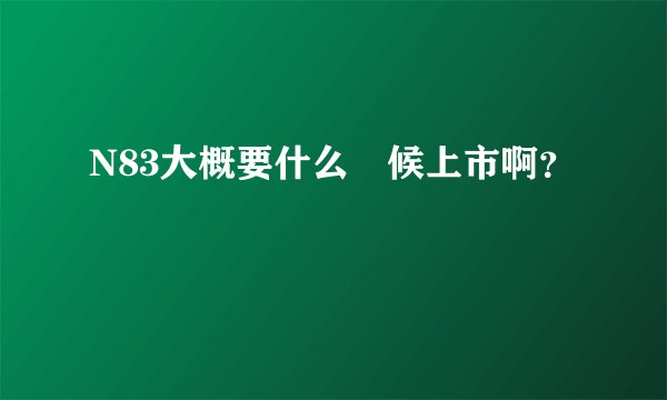 N83大概要什么時候上市啊？