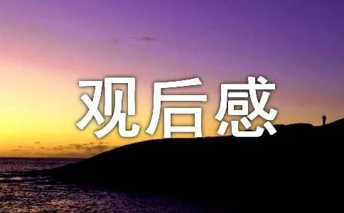 我是特种兵观后感