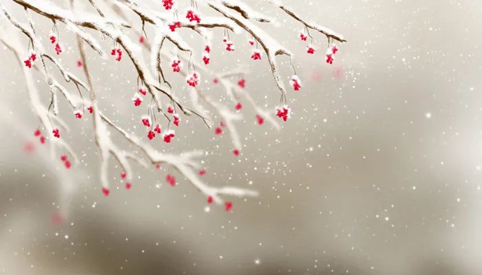小冰河时期是什么意思