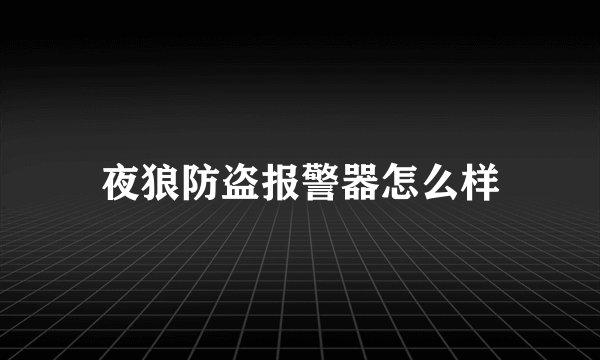 夜狼防盗报警器怎么样