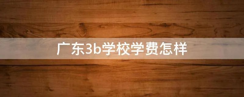 广东3b学校学费怎样