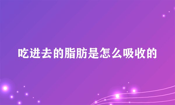 吃进去的脂肪是怎么吸收的