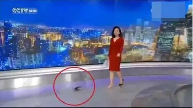 主持节目时高跟鞋掉了怎么办?