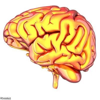 脑转移瘤病因有哪些 浅析脑转移瘤的4个病因