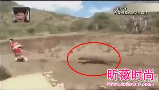 女子勾引巨蜥 场面让人目瞪口呆（组图）