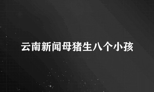 云南新闻母猪生八个小孩