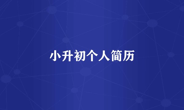 小升初个人简历