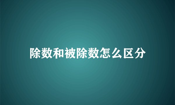 除数和被除数怎么区分