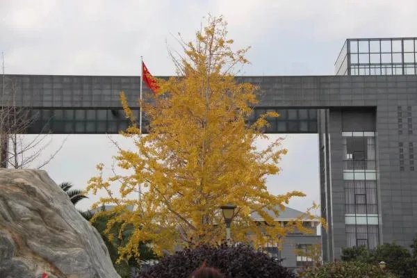 为什么有的大学生觉得疫情偷走了青春?