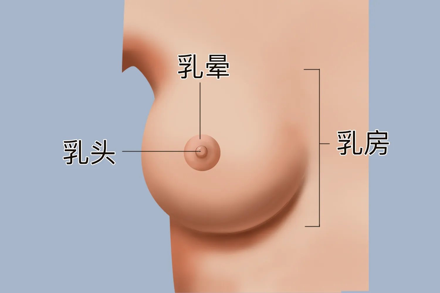 乳头颜色图片