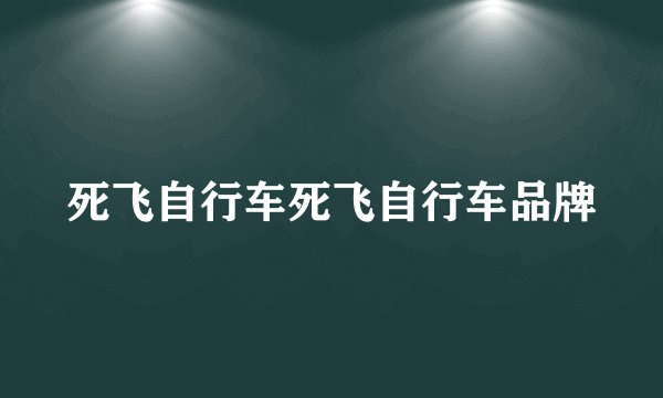 死飞自行车死飞自行车品牌