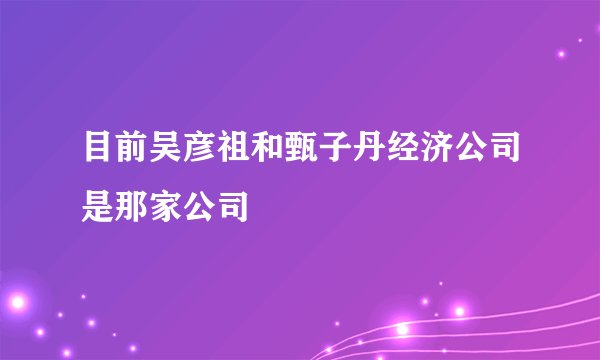 目前吴彦祖和甄子丹经济公司是那家公司