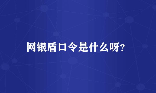 网银盾口令是什么呀？