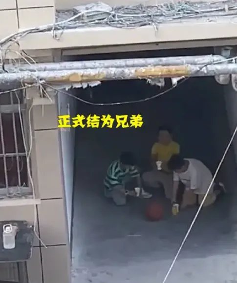 太可爱！跪楼道饮料代酒桃园结义，怎么看这三个小男孩的行为呢？