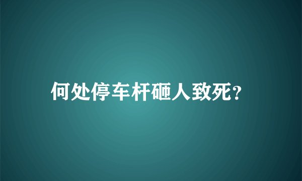 何处停车杆砸人致死?