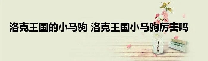 洛克王国的小马驹 洛克王国小马驹厉害吗