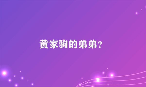 黄家驹的弟弟？