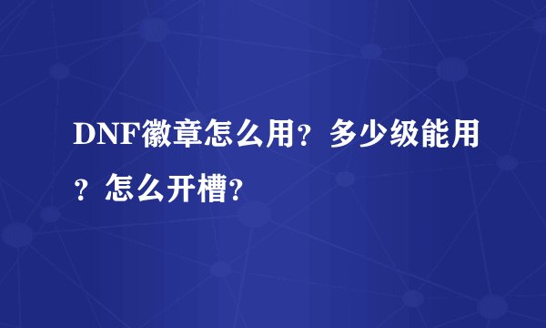 DNF徽章怎么用？多少级能用？怎么开槽？