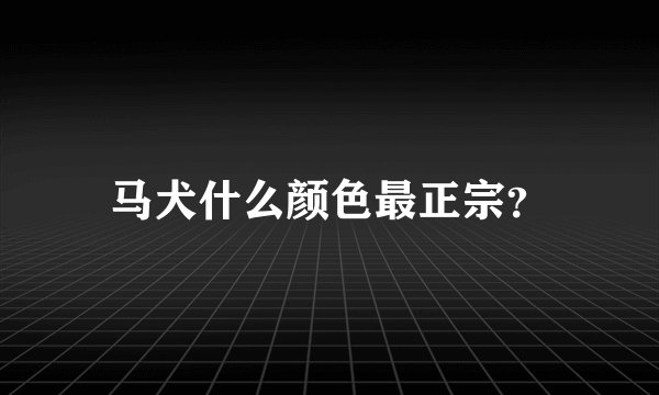 马犬什么颜色最正宗？