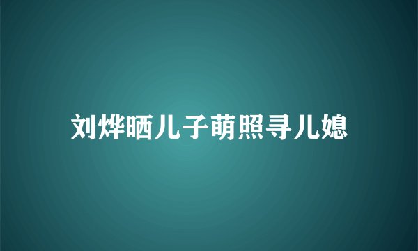 刘烨晒儿子萌照寻儿媳