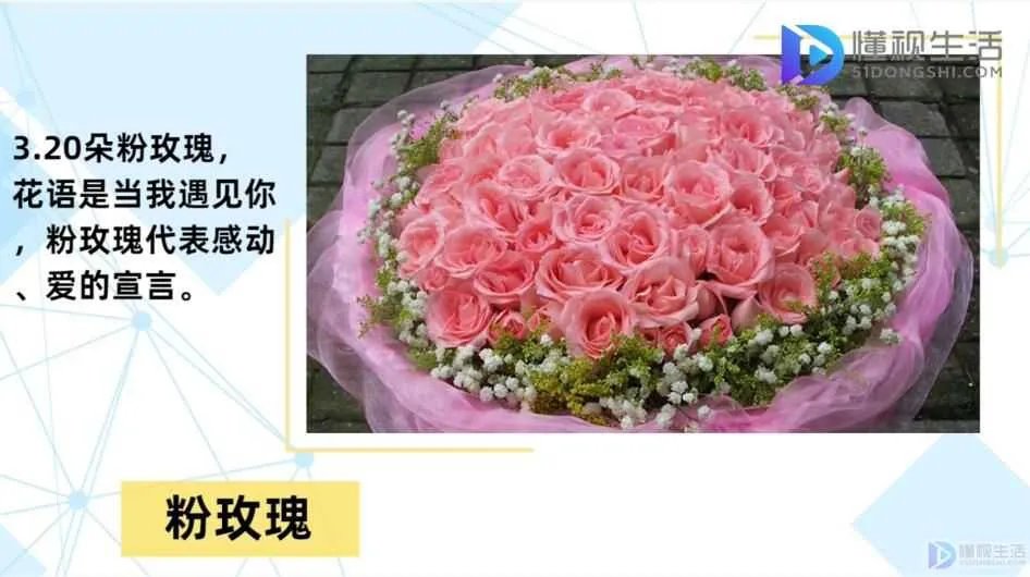 20朵玫瑰代表什么花语