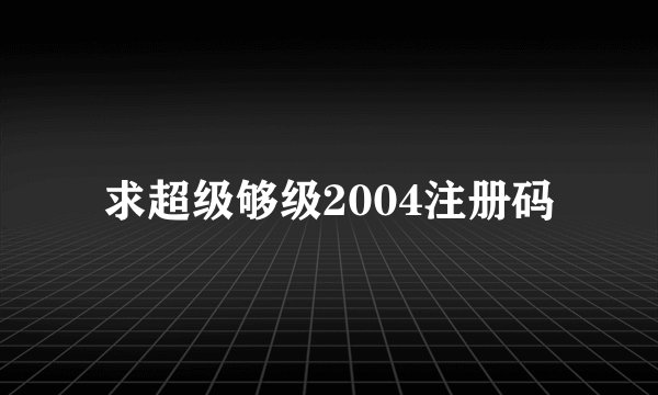 求超级够级2004注册码