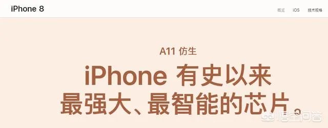 A11处理器与A11仿生有什么区别么？