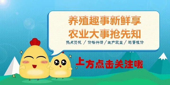 非洲猪瘟对猪价行情的影响有哪些？