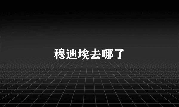 穆迪埃去哪了
