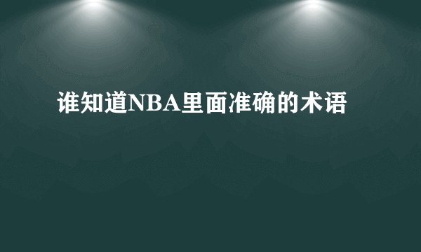 谁知道NBA里面准确的术语