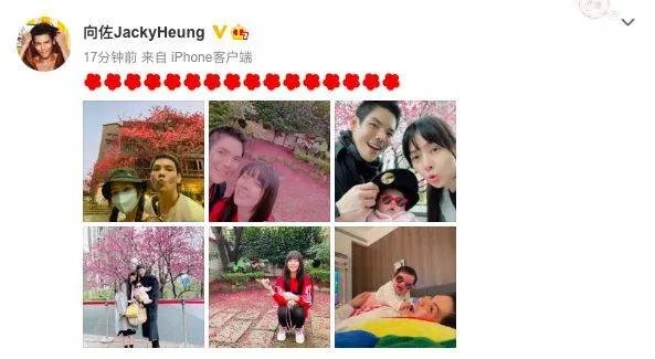 向太携儿子儿媳与友人聚餐,为何郭碧婷表情一脸冷淡?
