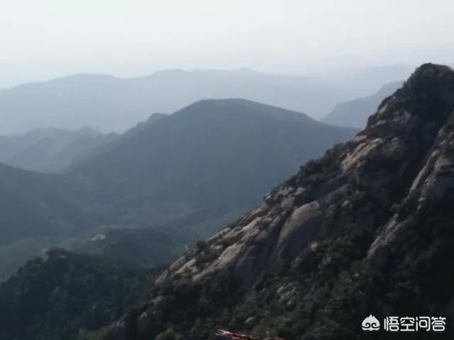 沂蒙老区指哪里?