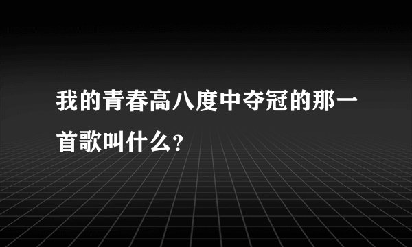我的青春高八度中夺冠的那一首歌叫什么？