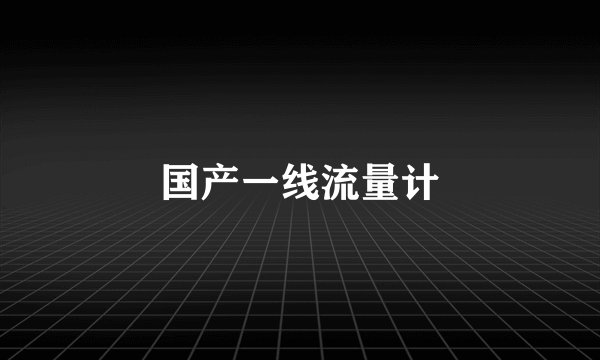 国产一线流量计