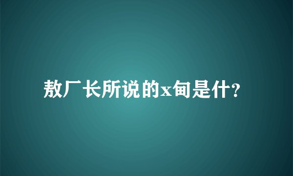 敖厂长所说的x甸是什？