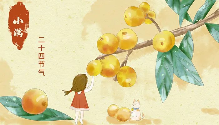 小满节气的特点和风俗 小满节气有什么特点和风俗