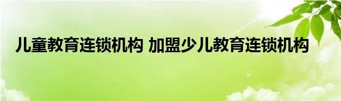 儿童教育连锁机构 加盟少儿教育连锁机构