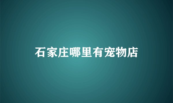 石家庄哪里有宠物店