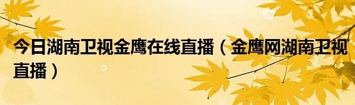 今日湖南卫视金鹰在线直播（金鹰网湖南卫视直播）
