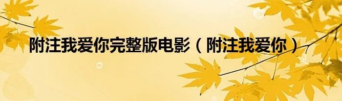 附注我爱你完整版电影（附注我爱你）