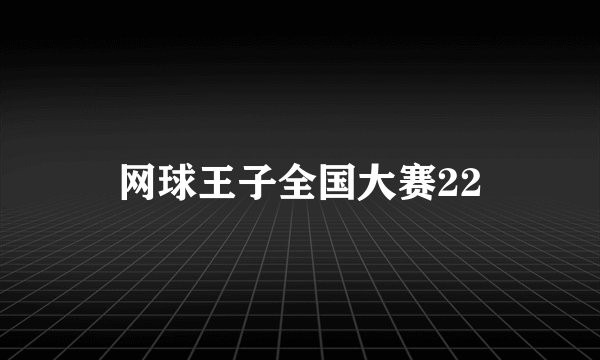 网球王子全国大赛22