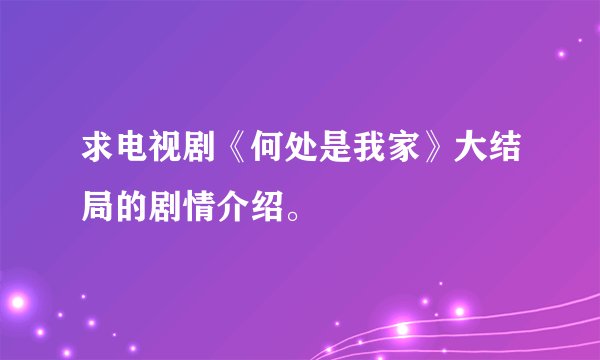 求电视剧《何处是我家》大结局的剧情介绍。