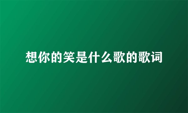 想你的笑是什么歌的歌词